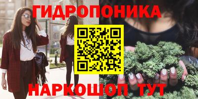 мдпв Дубна