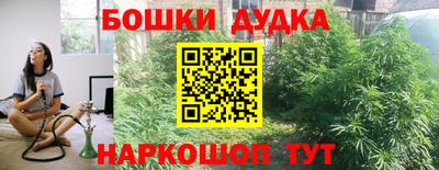 мдпв Дубна