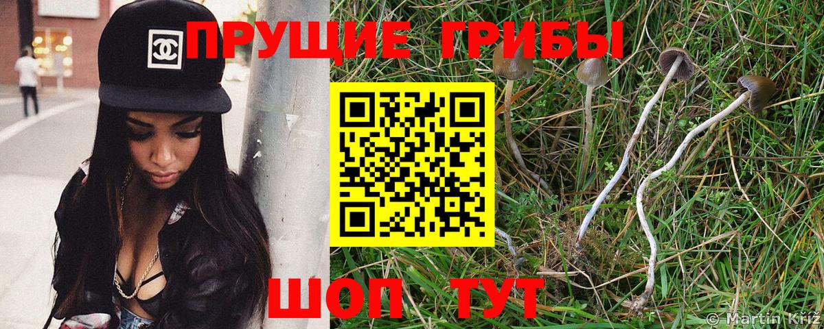 Псилоцибиновые грибы MAGIC MUSHROOMS Нефтекамск